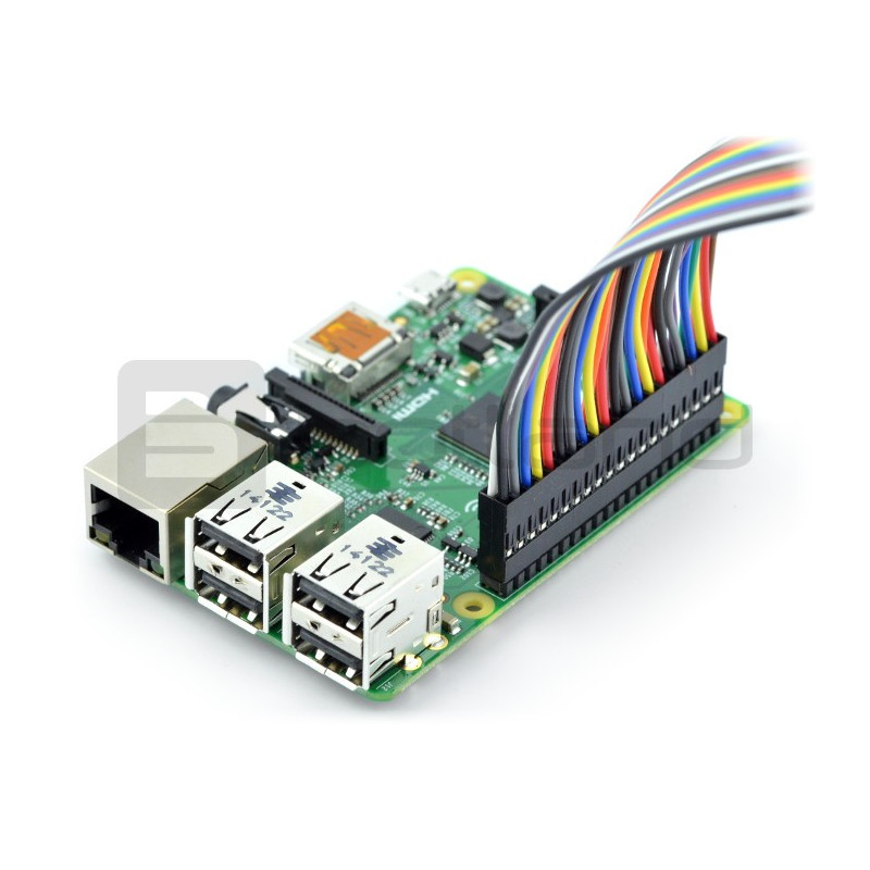 Przewód PiTail 40 pin ze złączami 35 cm do Raspberry Pi B+