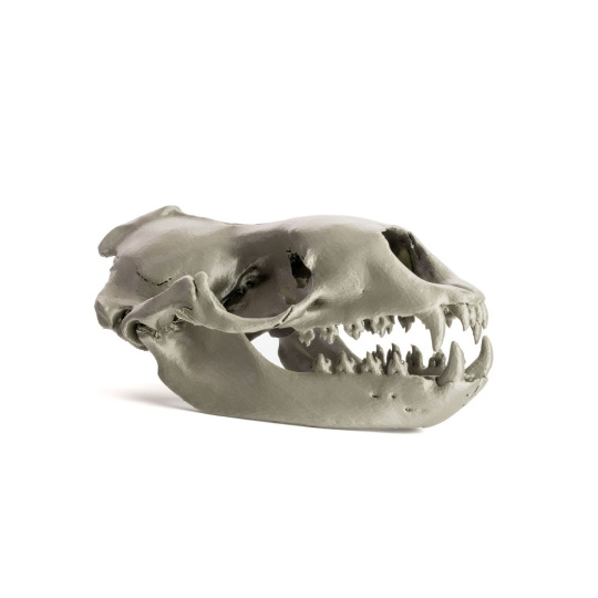 3D-принтер - Оригінальний корпус Prusa MK4S - зібраний