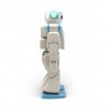 Hovis Eco Plus - robot humanoidalny 20 DoF - zdjęcie 3