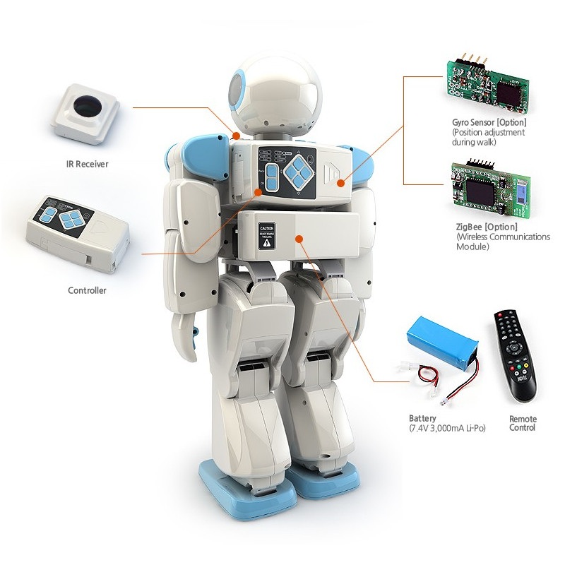 Hovis Eco Plus - robot humanoidalny 20 DoF