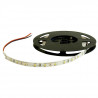 Pasek LED SMD2835 IP20 6W, 60 diod/m, 8mm, biały-zimny - 5m - zdjęcie 1