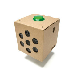 Google AIY Voice Kit dla Raspberry Pi