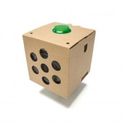 Google AIY Voice Kit dla Raspberry Pi