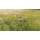 Dron quadrocopter DJI Phantom 4 Pro z gimbalem 3D i kamerą 4k UHD Dron quadrocopter DJI Phantom 4 Pro z gimbalem 3D i kamerą 4k UHD