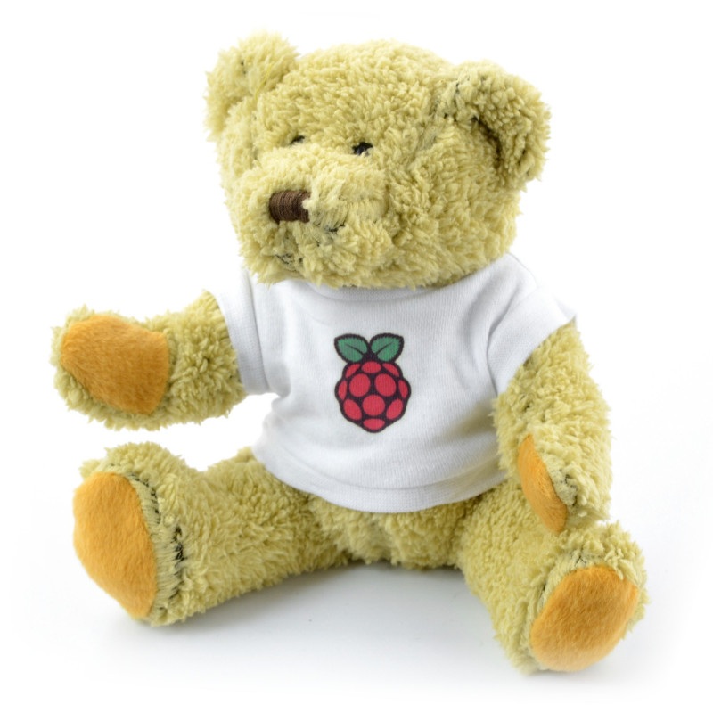 Miś Babbage z logo Raspberry Pi