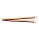 Grove - przewód żeńsko-żeński 4-pin - 2mm / 20cm Grove - przewód żeńsko-żeński 4-pin - 2mm / 20cm