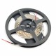 Pasek LED SMD5050 IP20 7,2W, 30 diod/m, 10mm, barwa zimna - 5m Pasek LED SMD5050 IP20 7,2W, 30 diod/m, 10mm, barwa zimna - 5m