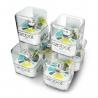 Ozobot - zestaw przedszkolny 6x Ozobot BIT + 2x drewniane puzzle