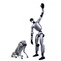 Humanoidy i robopsy