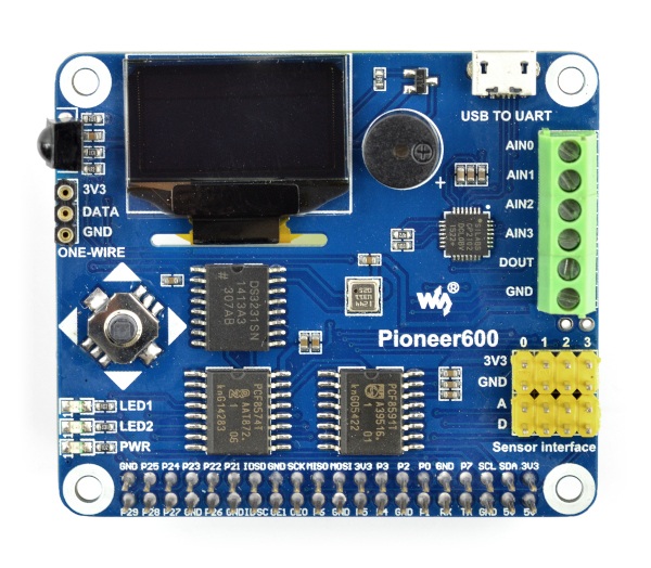 Pioneer600 - ekran OLED 0,96''