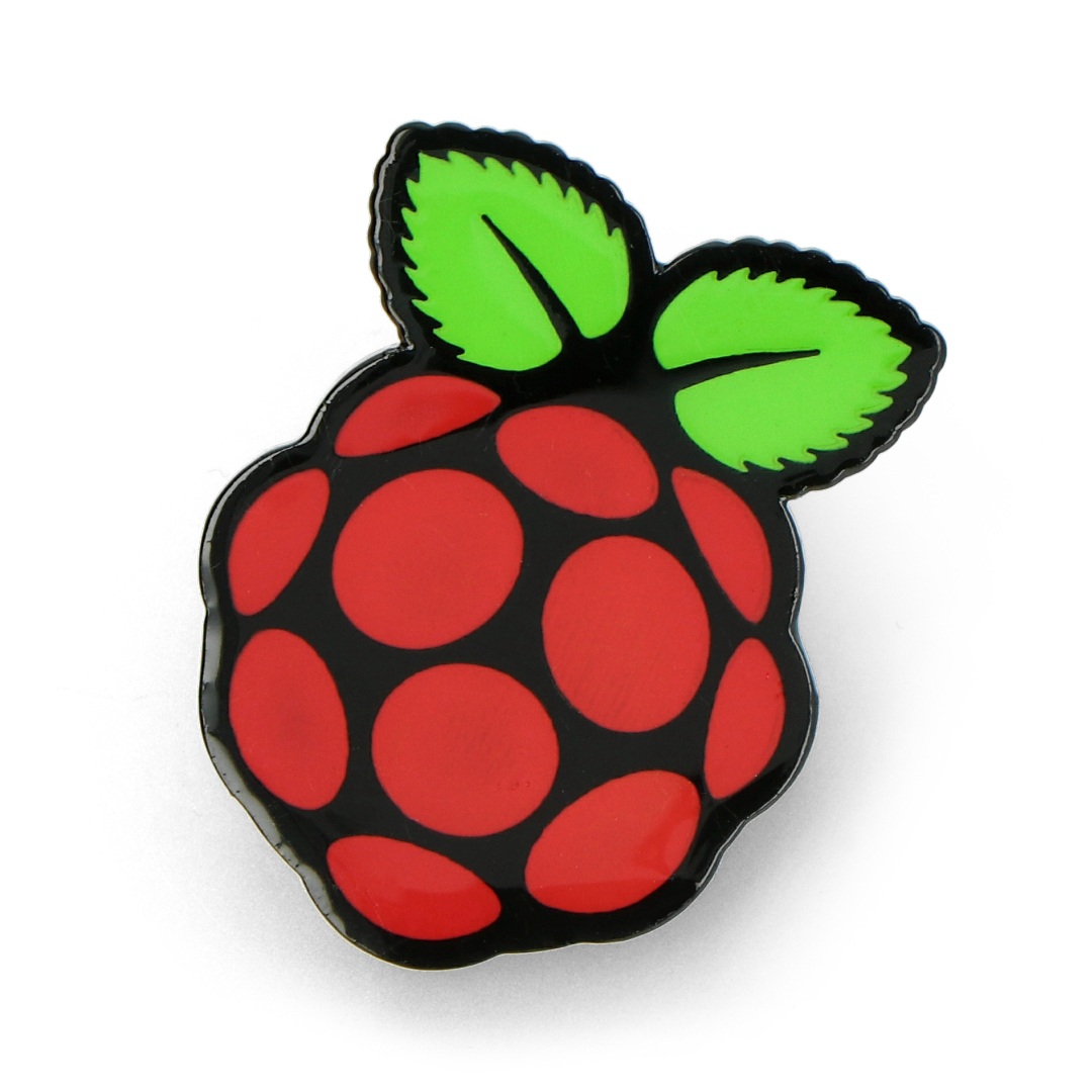 Broszka Raspberry Pi 