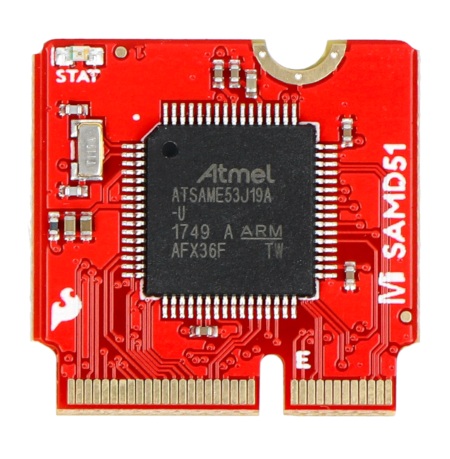 MicroMod SAMD51