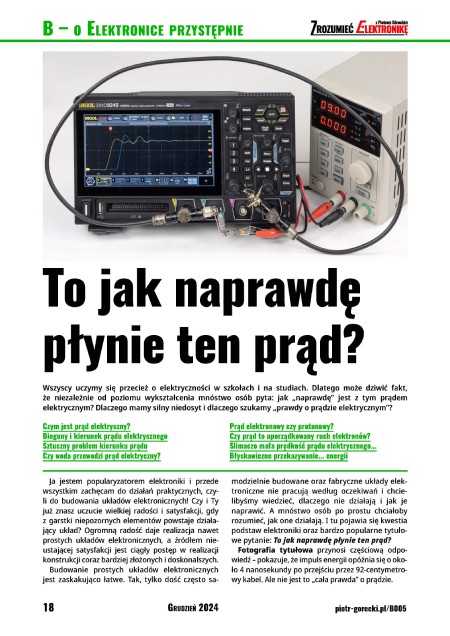 Zrozumieć Elektronikę (12 / 2024) - miesięcznik, wydanie cyfrowe