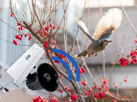 Odstraszacz zwierzyny leśnej - dzików, saren, ptaków - IP44 - Viano