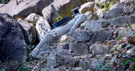 Czworonożna platforma krocząca - robo pies - Unitree B2