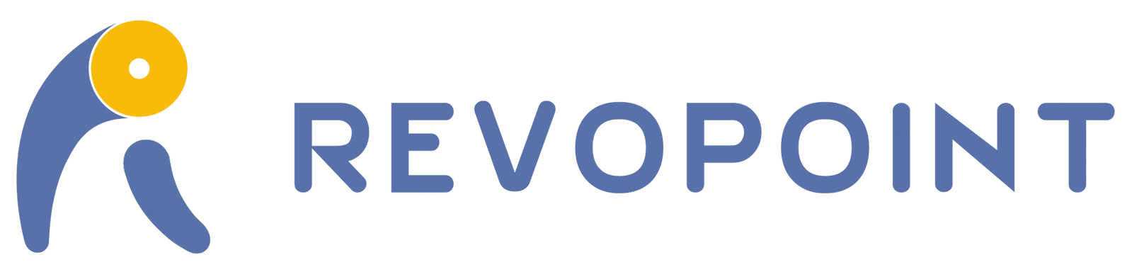 Revopoint