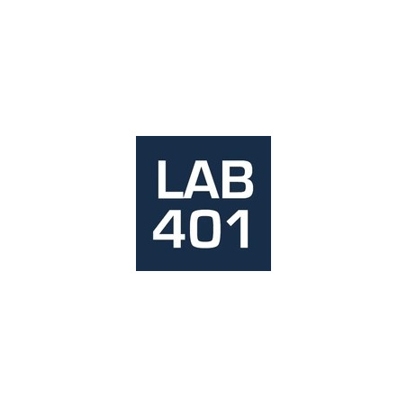 Lab401